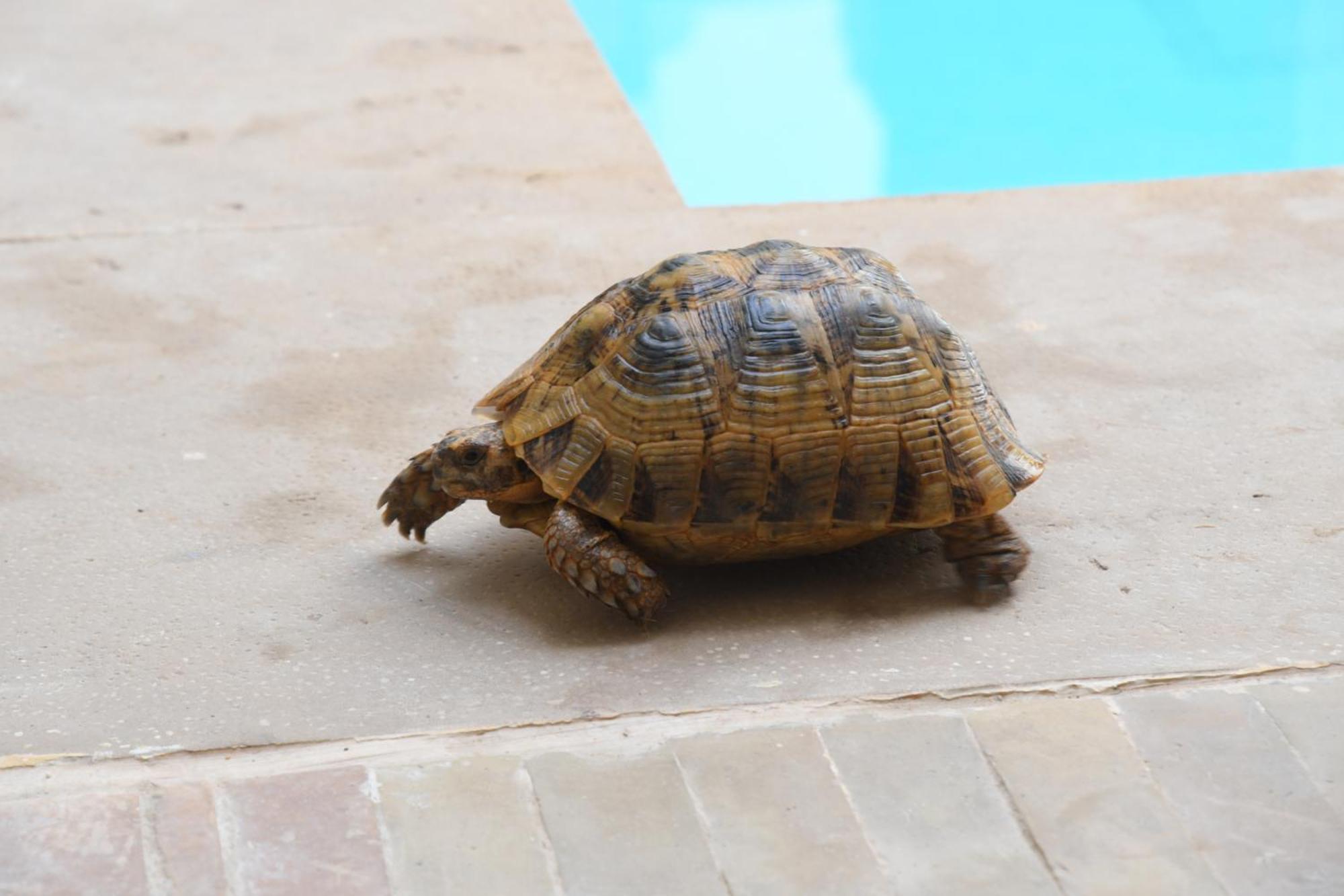 Riad Berenssi Marrakesh Luaran gambar